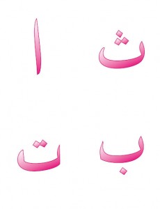hafızaoyunu2