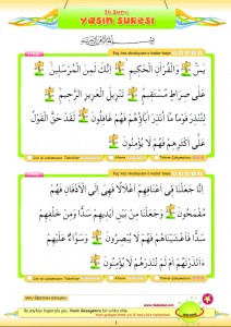 yasin1