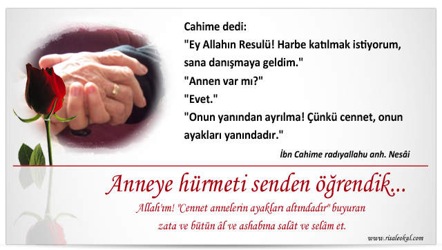 anne_kart1