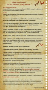 zübeyir-abinin-mektubu